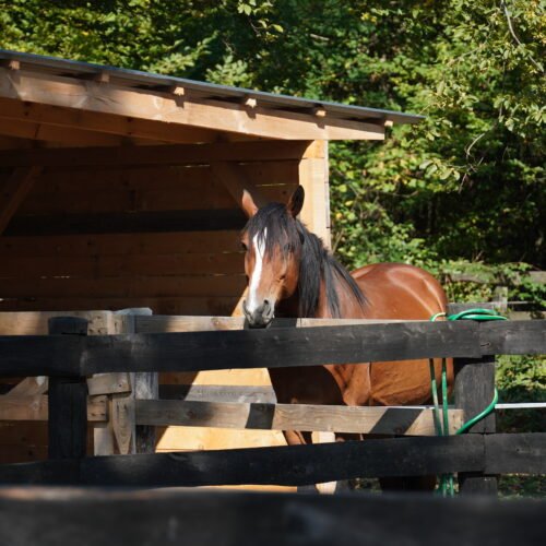 western ranch